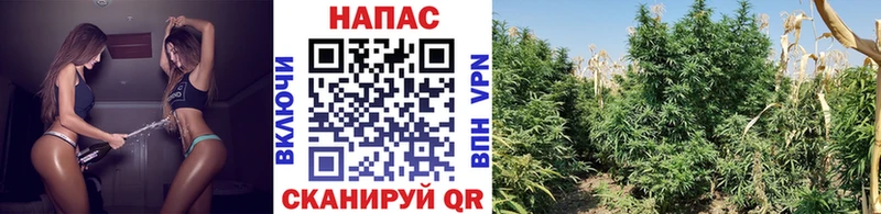 Наркотические вещества Саянск СОЛЬ  Меф  COCAIN  Амфетамин  Марихуана  ГАШИШ 